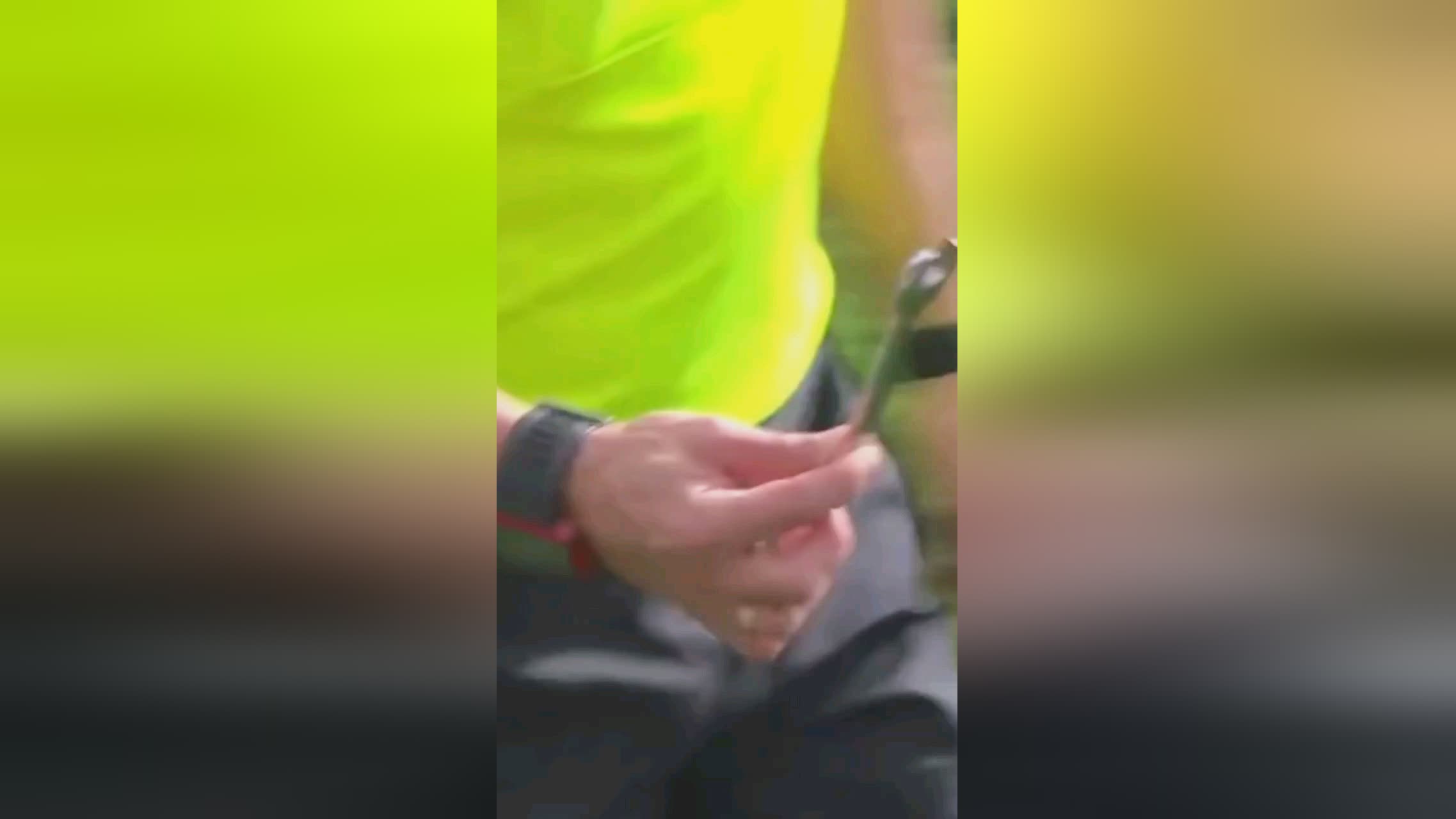 轻人提供了